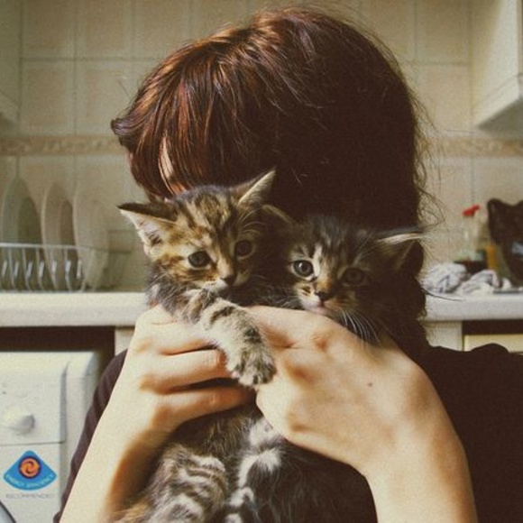 Hey What's Up Hello! - Picture 1 of 2